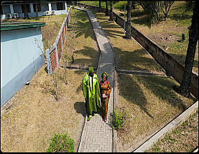 3D View